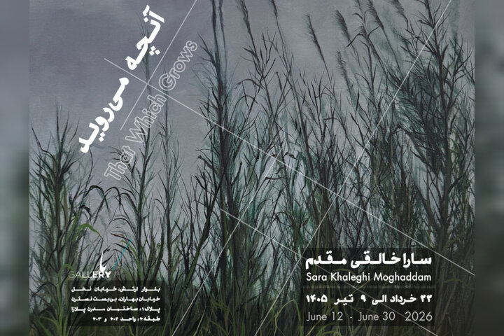 «آنچه می‌روید» به باگالری رسید؛ وفادار به بی‌نظمی جهان